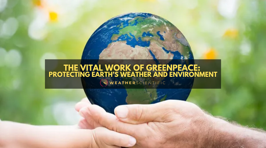 The Vital Work of Greenpeace: Protecting Earth’s Weather and Environment