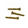 Weather Scientific Maximum Inc. Brass Mounting Screw Hardware Pack Maximum