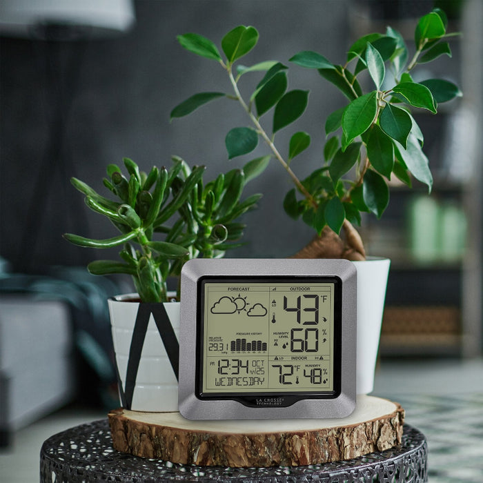 Weather Scientific LaCrosse Technology 308-1417V2 Weather Station with Forecast and Atomic Time in natural setting