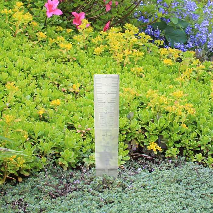 Weather Scientific LaCrosse Technology 704-1518 10 in Plastic Rain Gauge LaCrosse Technology