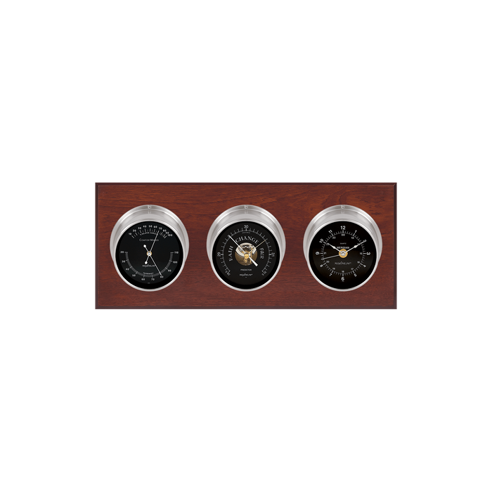 Weather Scientific Maximum Inc. Executive Weather Instrument Maximum