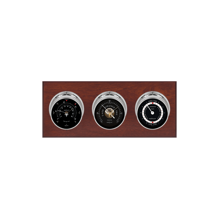 Weather Scientific Maximum Inc. Newport 2S Weather Station Maximum