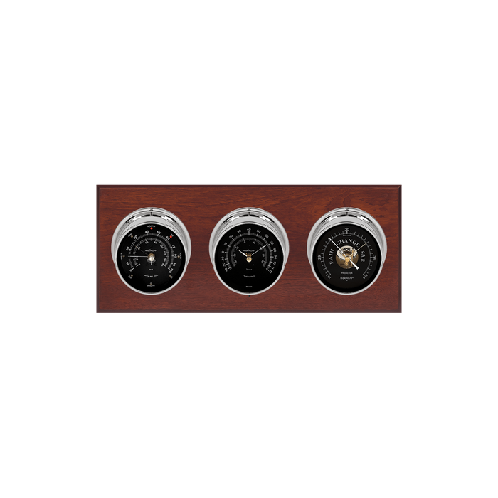Weather Scientific Maximum Inc. Montauk Weather Station Maximum