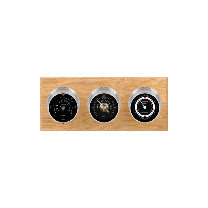 Weather Scientific Maximum Inc. Newport 2S Weather Station Maximum
