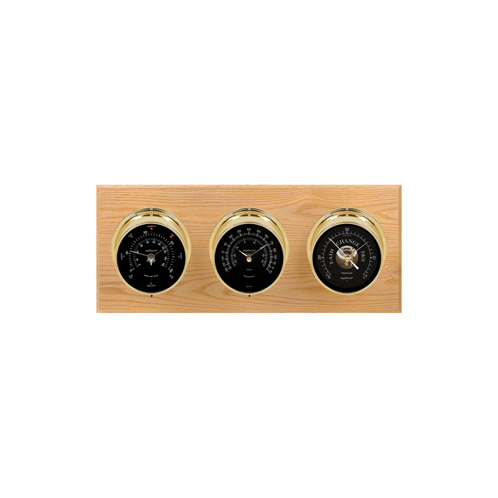 Weather Scientific Maximum Inc. Montauk 2S Weather Station Maximum