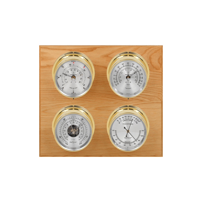 Weather Scientific Maximum Inc. Observer 2S Weather Station Maximum