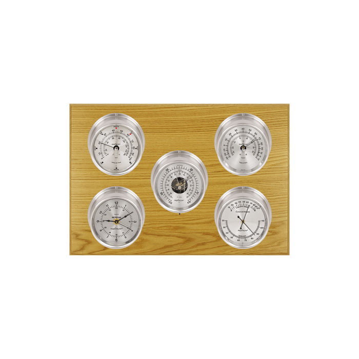 Weather Scientific Maximum Inc. Professional Weather Station Maximum
