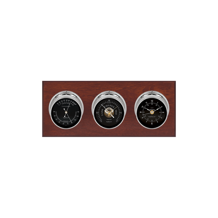 Weather Scientific Maximum Inc. Executive Weather Instrument Maximum