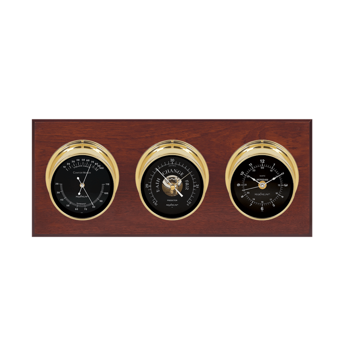 Weather Scientific Maximum Inc. Executive Weather Instrument Maximum