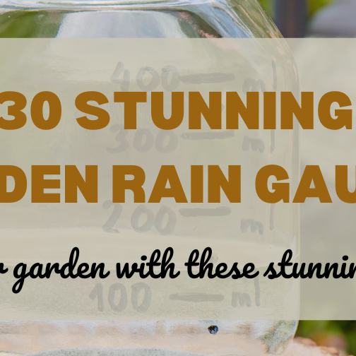 30 Stunning Garden Rain Gauges