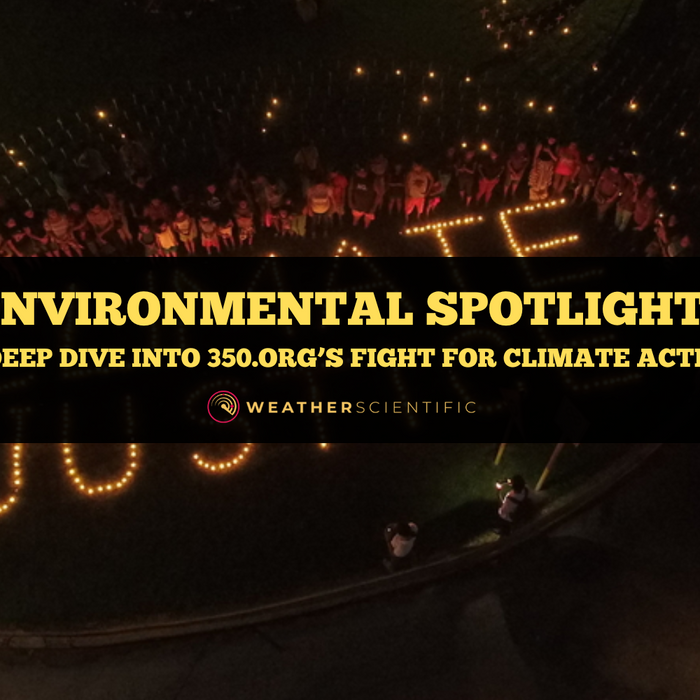 Environmental Spotlight: A Deep Dive into 350.org’s Fight for Climate Action