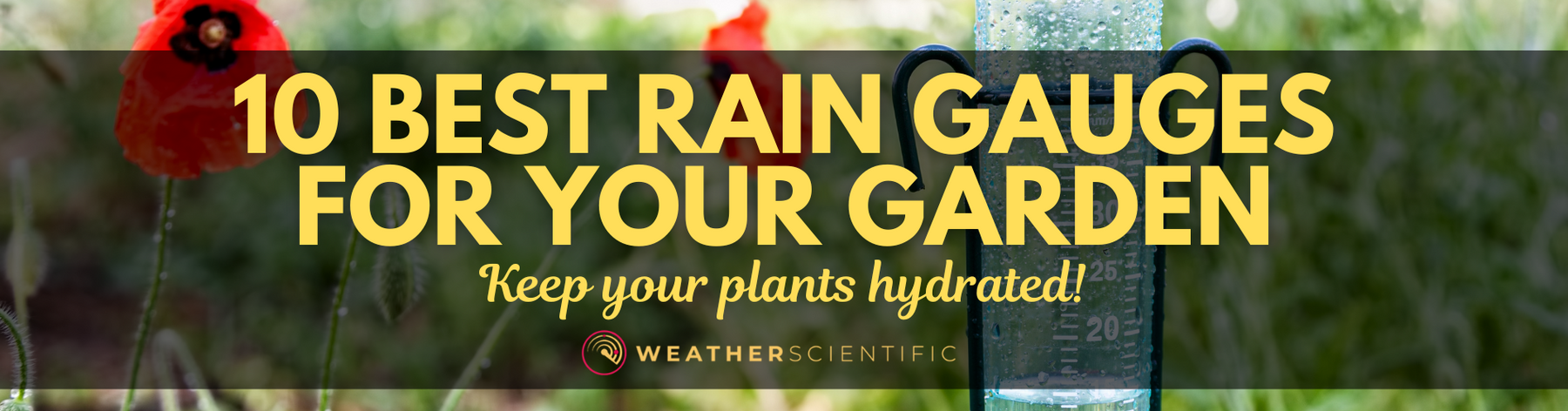 10 Best Rain Gauges for Your Garden: Keep Your Plants Hydrated by Weather Scientific