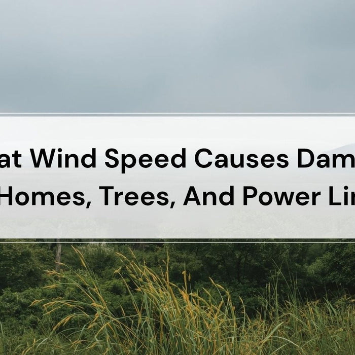 What Wind Speed Causes Damage To Homes, Trees, And Power Lines by Weather Scientific