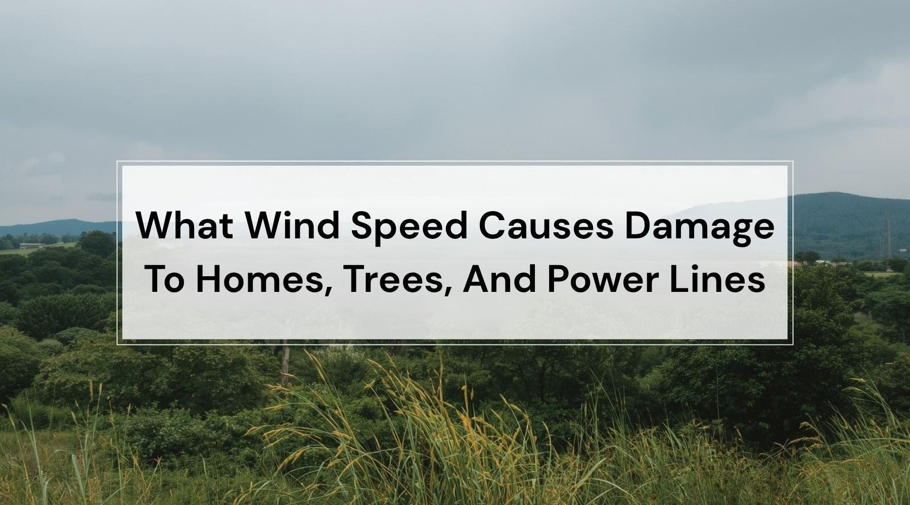 What Wind Speed Causes Damage To Homes, Trees, And Power Lines by Weather Scientific