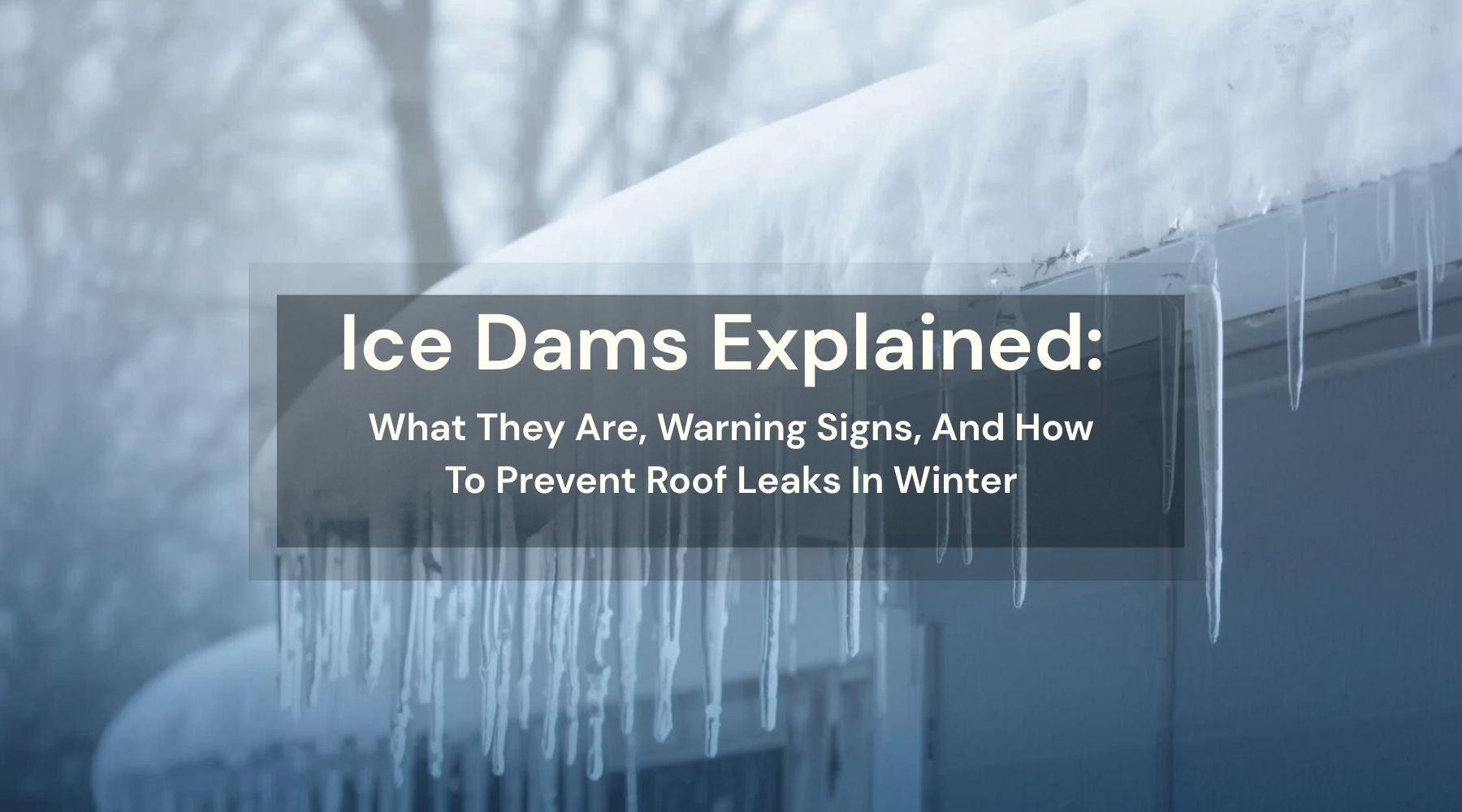 Ice Dams Explained: What They Are, Warning Signs, And How To Prevent Roof Leaks In Winter by Weather Scientific