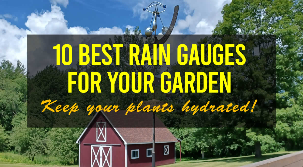 10 Best Rain Gauges for Your Garden: Keep your plants hydrated!