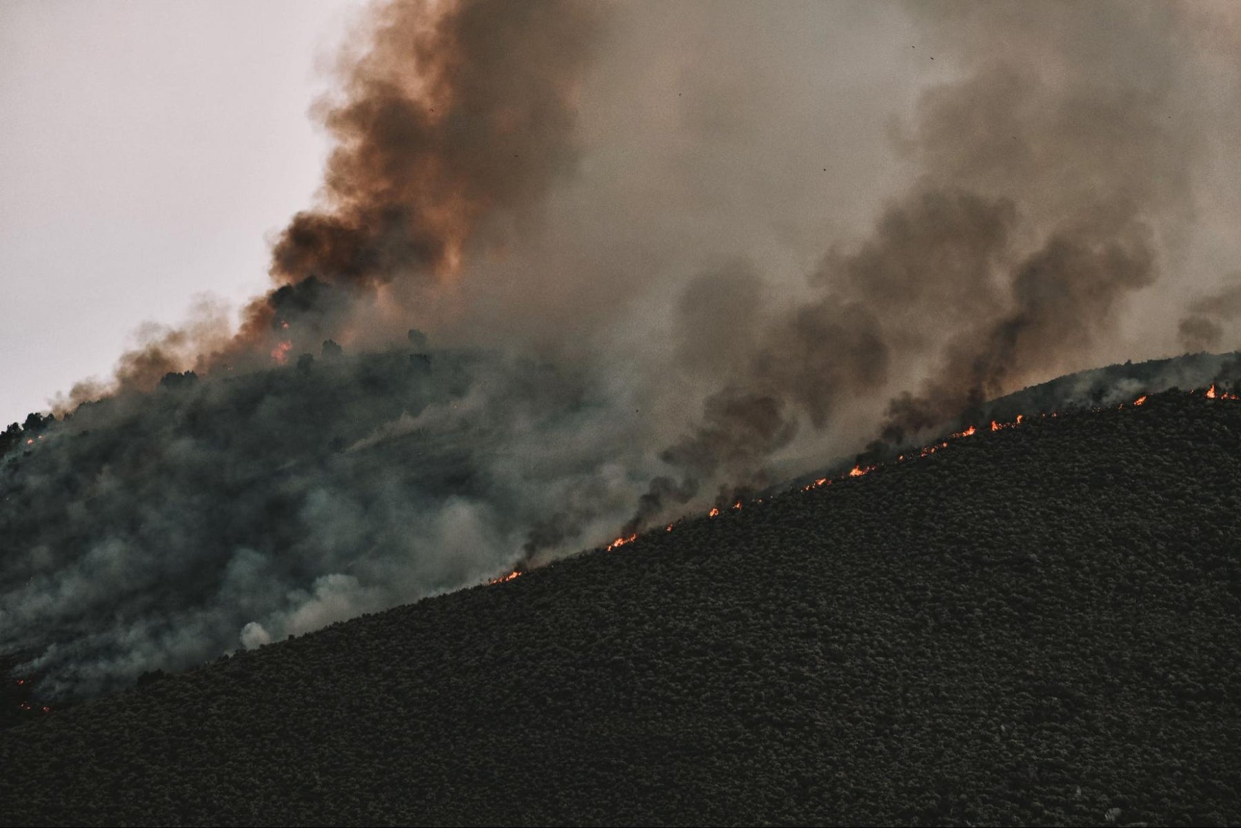 3 Recent Extreme Weather Events in the United States