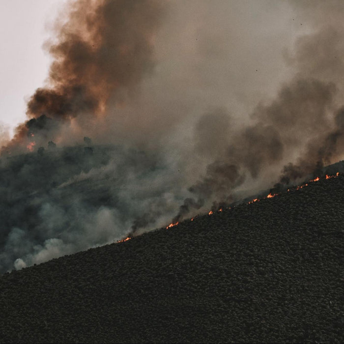 3 Recent Extreme Weather Events in the United States