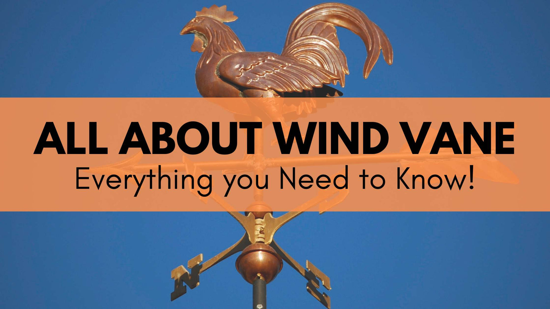 All About Wind Vane