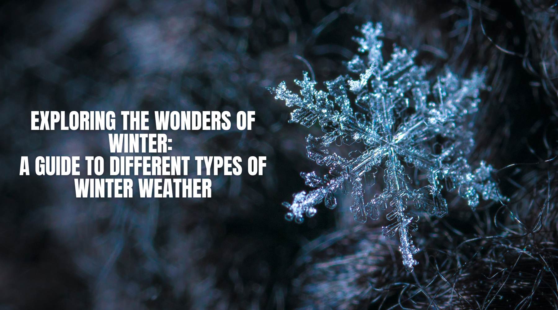 Exploring the Wonders of Winter: A Guide to Different Types of Winter Weather by Weather Scientific