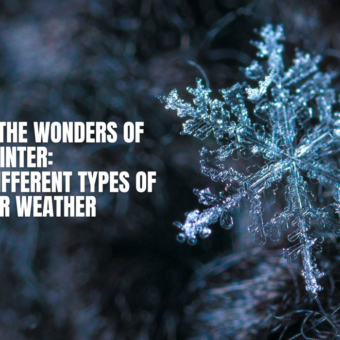 Exploring the Wonders of Winter: A Guide to Different Types of Winter Weather