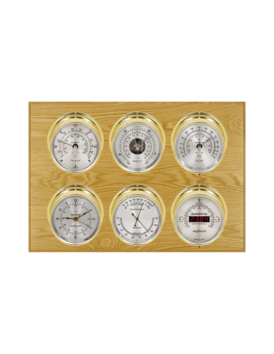 Weather Scientific Maximum Inc. Weathermaster 2S Weather Station Maximum 